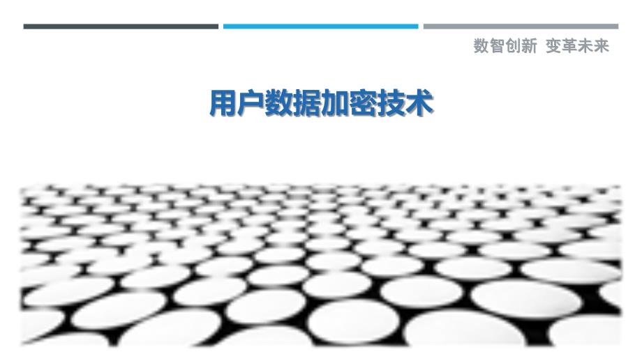 用户数据加密技术-洞察与解读_第1页